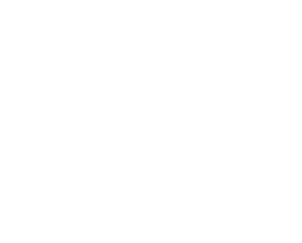 VDP Juristen