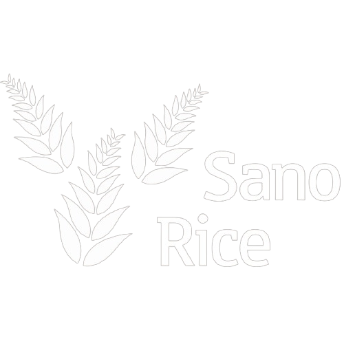 Logo Sanorice wit